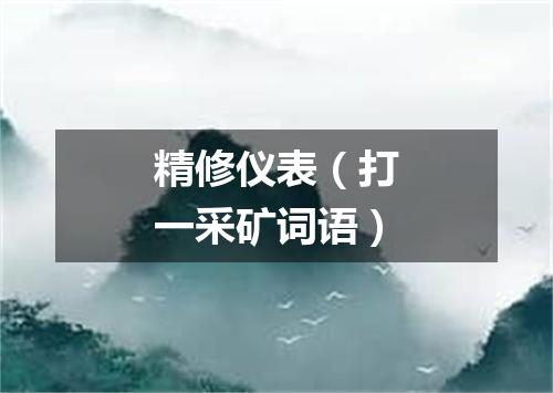 精修仪表（打一采矿词语）