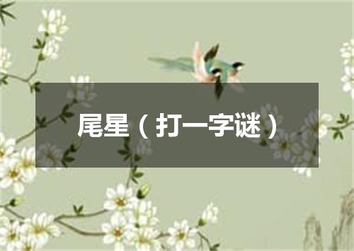 尾星（打一字谜）