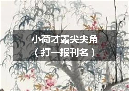 小荷才露尖尖角（打一报刊名）