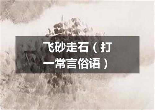 飞砂走石（打一常言俗语）