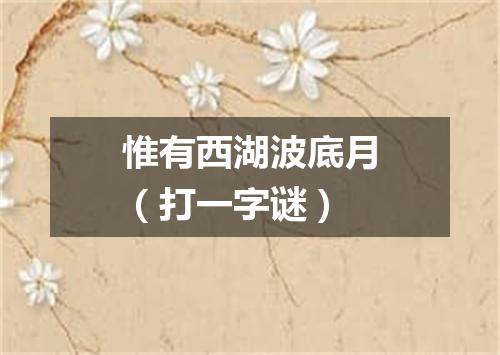 惟有西湖波底月（打一字谜）