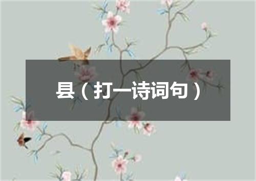 县（打一诗词句）