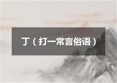 丁（打一常言俗语）