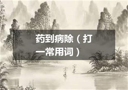 药到病除（打一常用词）
