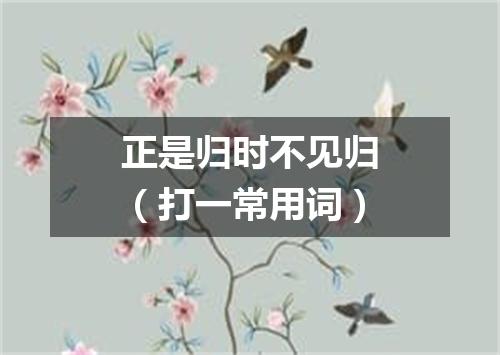 正是归时不见归（打一常用词）