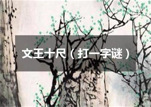文王十尺（打一字谜）