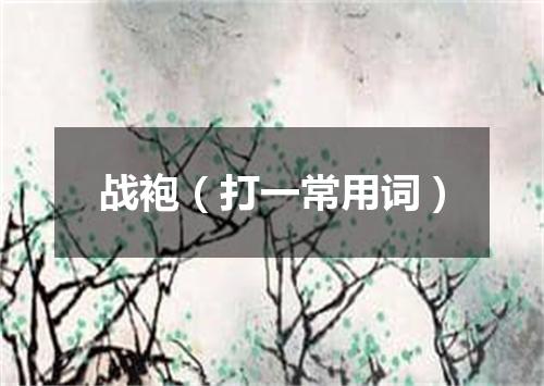 战袍（打一常用词）
