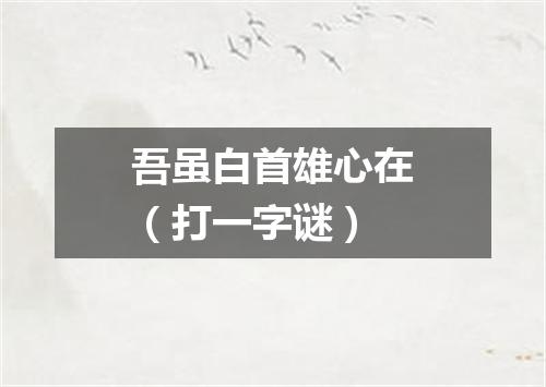 吾虽白首雄心在（打一字谜）