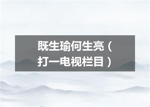 既生瑜何生亮（打一电视栏目）