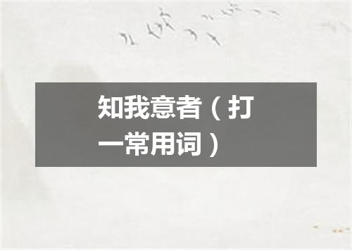 知我意者（打一常用词）