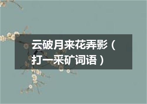 云破月来花弄影（打一采矿词语）