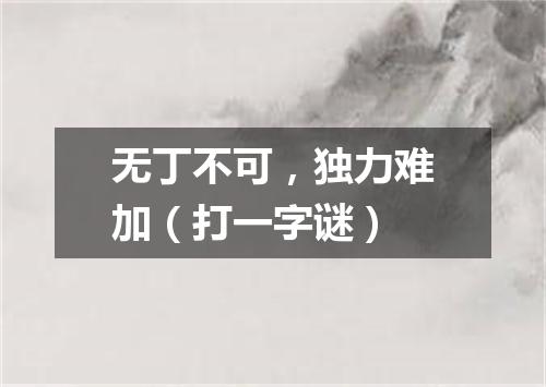 无丁不可，独力难加（打一字谜）