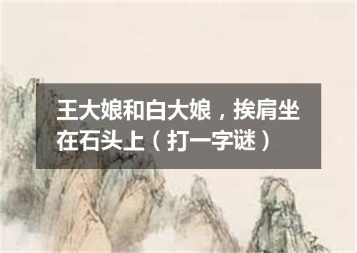 王大娘和白大娘，挨肩坐在石头上（打一字谜）