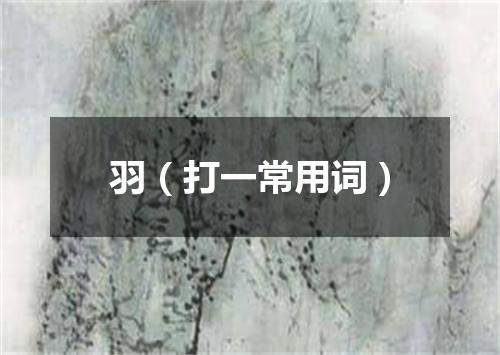 羽（打一常用词）