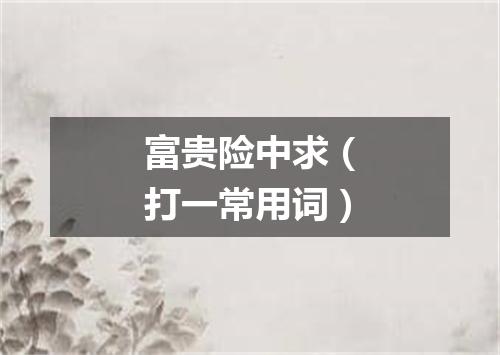 富贵险中求（打一常用词）