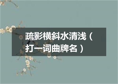 疏影横斜水清浅（打一词曲牌名）