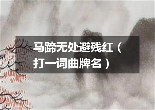 马蹄无处避残红（打一词曲牌名）