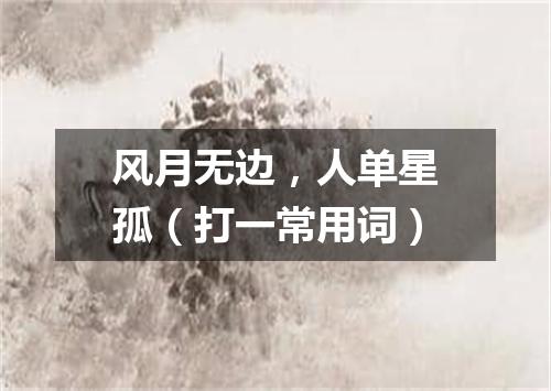 风月无边，人单星孤（打一常用词）