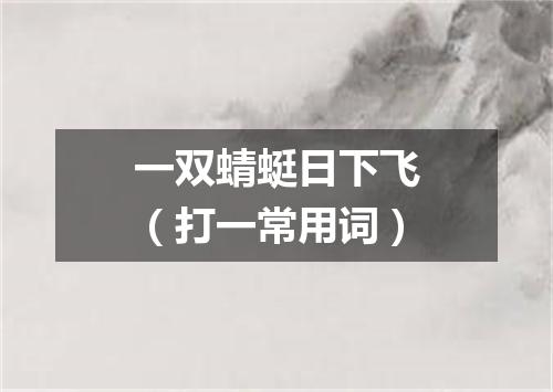 一双蜻蜓日下飞（打一常用词）