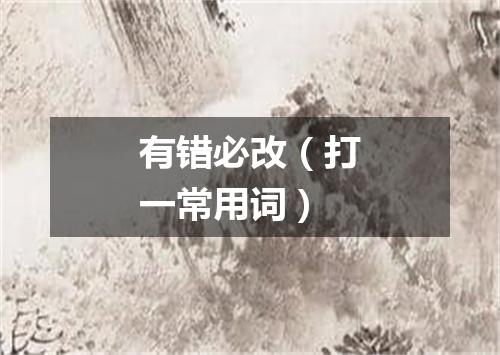 有错必改（打一常用词）