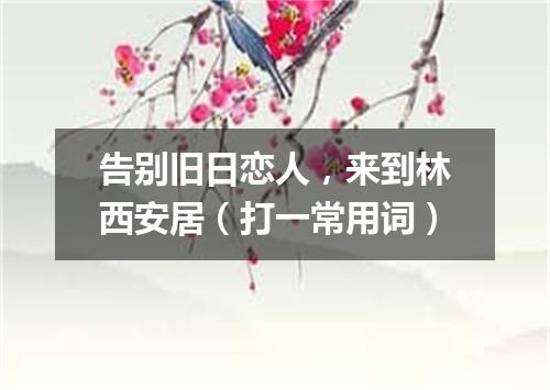 告别旧日恋人，来到林西安居（打一常用词）