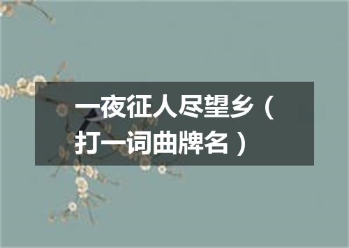 一夜征人尽望乡（打一词曲牌名）