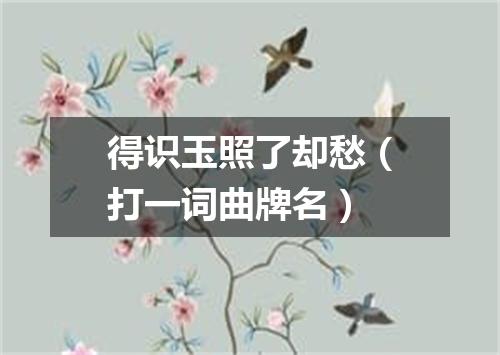 得识玉照了却愁（打一词曲牌名）
