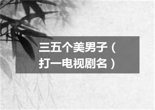 三五个美男子（打一电视剧名）