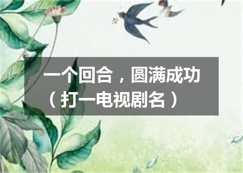 一个回合，圆满成功（打一电视剧名）