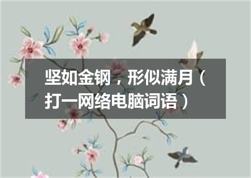 坚如金钢，形似满月（打一网络电脑词语）