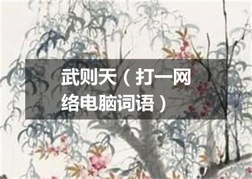 武则天（打一网络电脑词语）