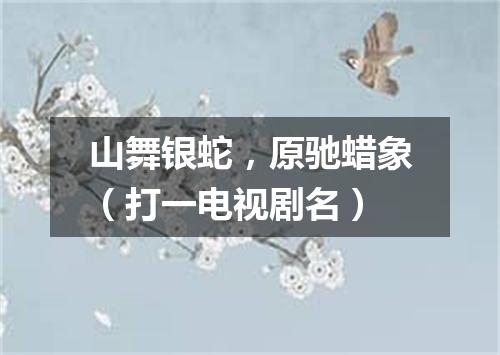 山舞银蛇，原驰蜡象（打一电视剧名）