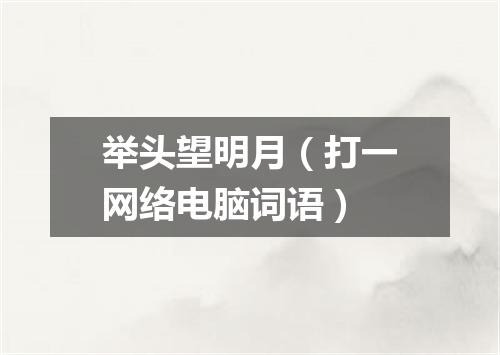 举头望明月（打一网络电脑词语）