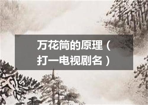 万花筒的原理（打一电视剧名）