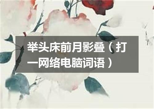 举头床前月影叠（打一网络电脑词语）