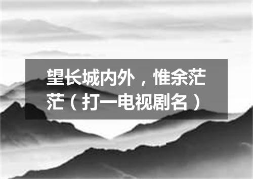 望长城内外，惟余茫茫（打一电视剧名）