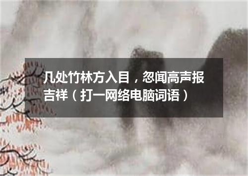 几处竹林方入目，忽闻高声报吉祥（打一网络电脑词语）