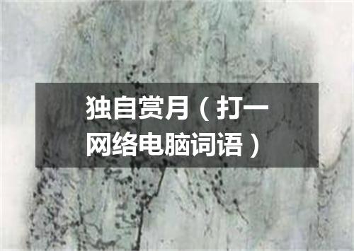 独自赏月（打一网络电脑词语）