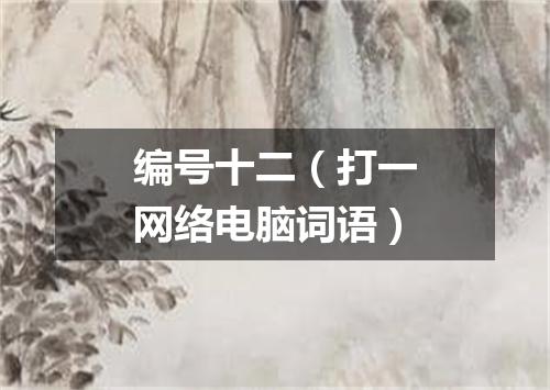编号十二（打一网络电脑词语）