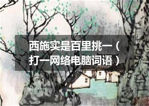 西施实是百里挑一（打一网络电脑词语）