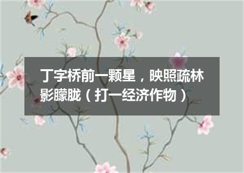 丁字桥前一颗星，映照疏林影朦胧（打一经济作物）