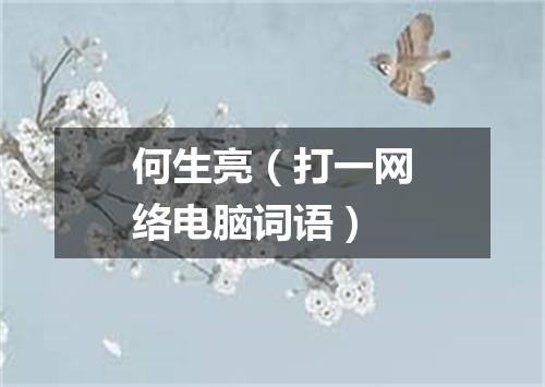 何生亮（打一网络电脑词语）