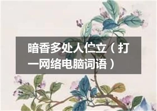 暗香多处人伫立（打一网络电脑词语）