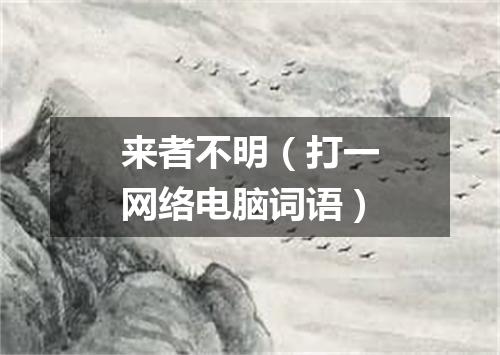 来者不明（打一网络电脑词语）
