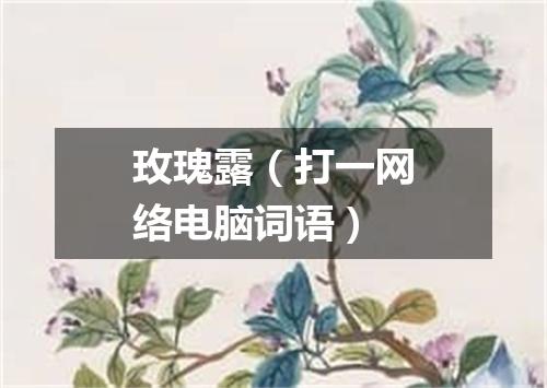 玫瑰露（打一网络电脑词语）