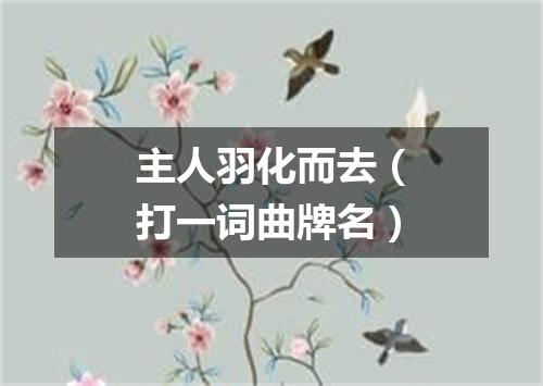主人羽化而去（打一词曲牌名）
