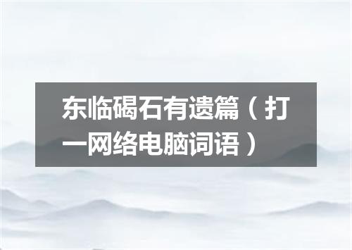 东临碣石有遗篇（打一网络电脑词语）