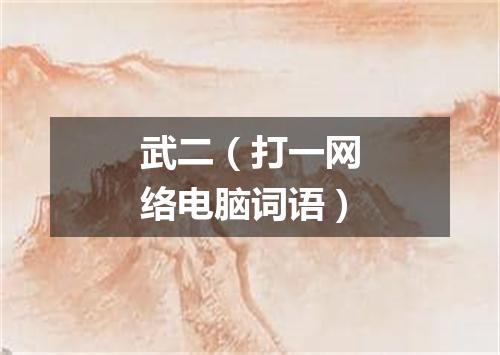 武二（打一网络电脑词语）