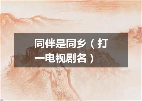 同伴是同乡（打一电视剧名）