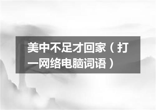 美中不足才回家（打一网络电脑词语）
